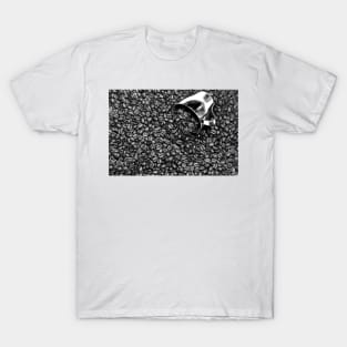 Coffee beans in black and white T-Shirt